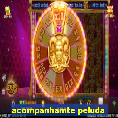 acompanhamte peluda