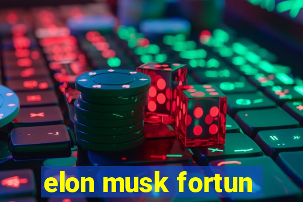 elon musk fortun