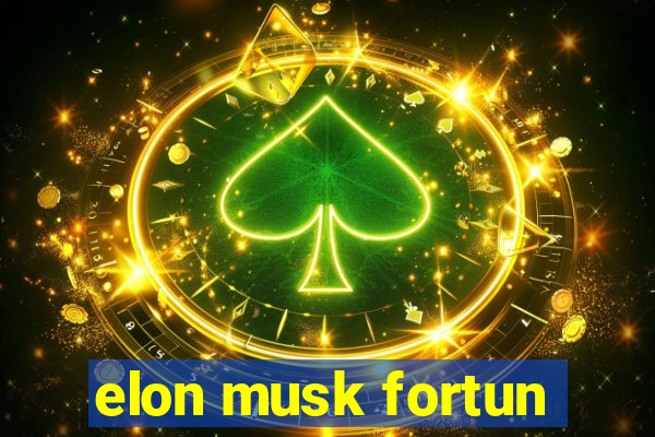 elon musk fortun