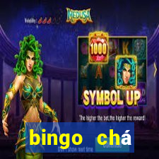 bingo chá revela??o pdf