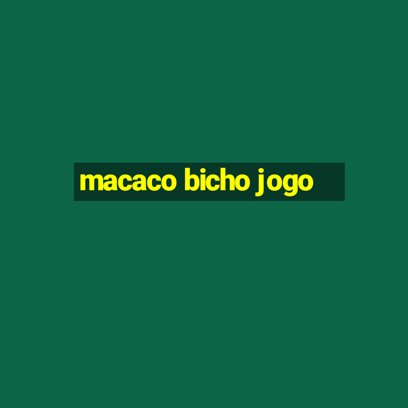 macaco bicho jogo