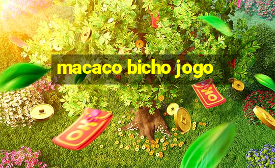 macaco bicho jogo