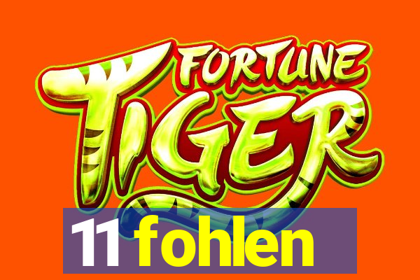 11 fohlen