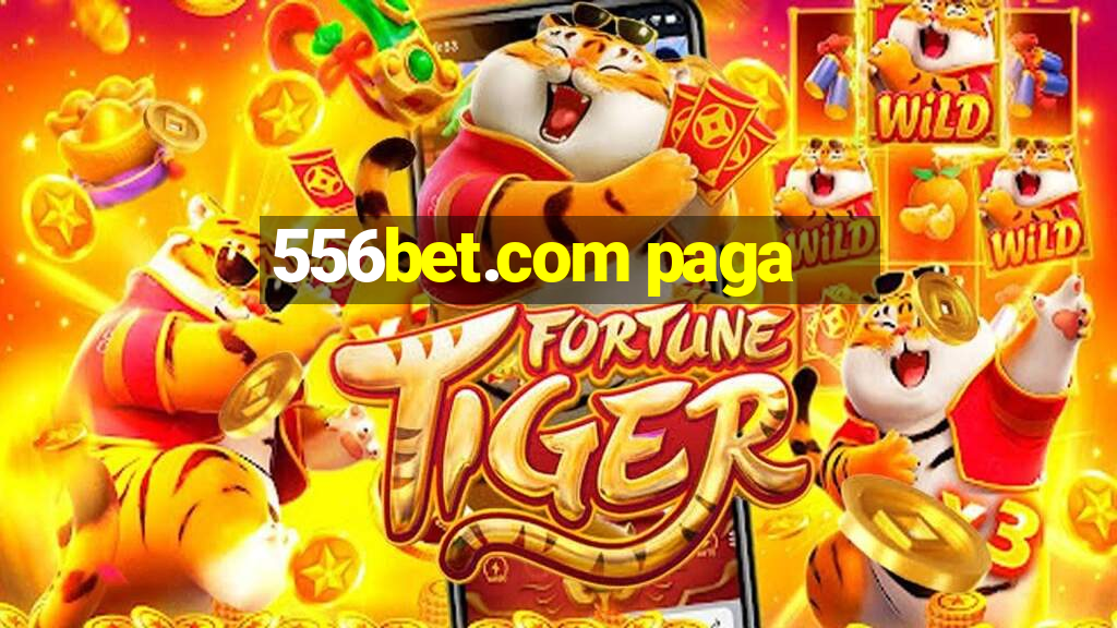 556bet.com paga