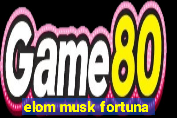 elom musk fortuna