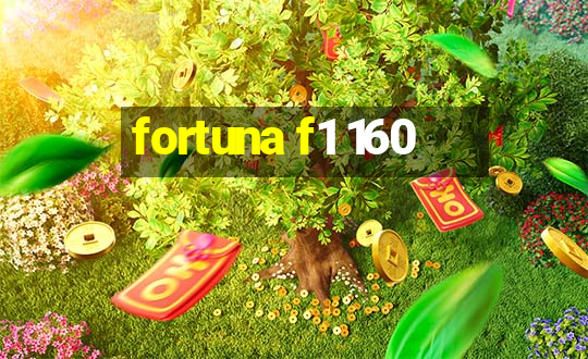 fortuna f1 160