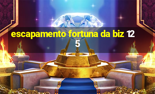 escapamento fortuna da biz 125