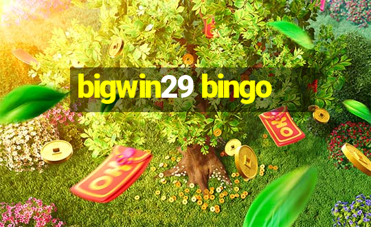 bigwin29 bingo