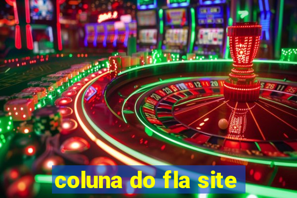 coluna do fla site