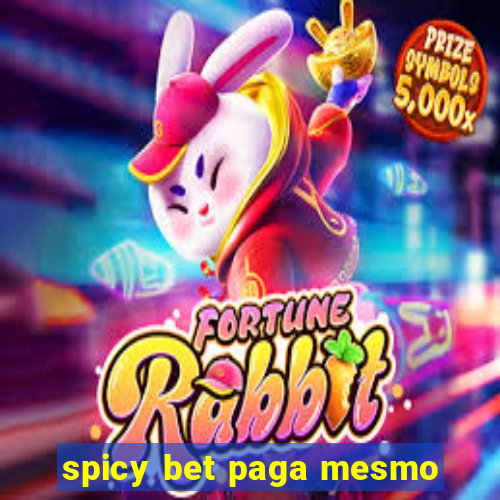 spicy bet paga mesmo