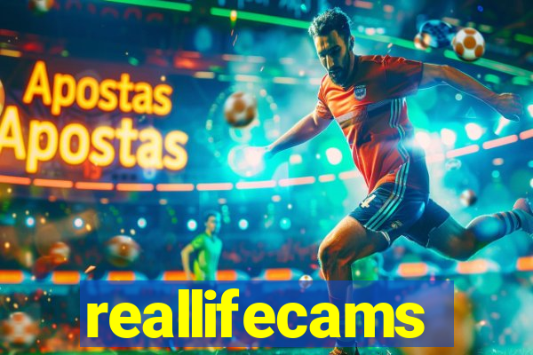 reallifecams