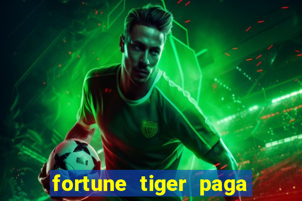 fortune tiger paga que horas