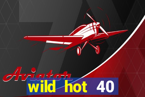 wild hot 40 christmas slot