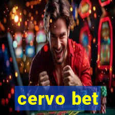 cervo bet