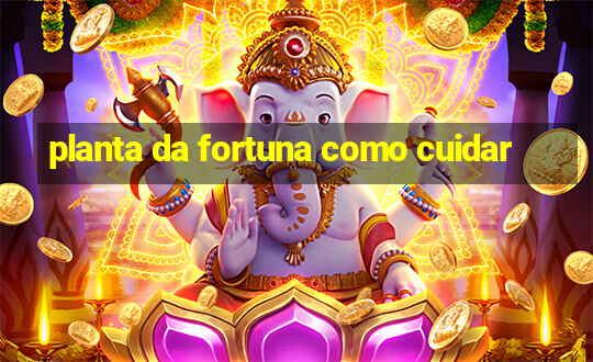 planta da fortuna como cuidar