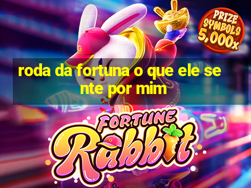 roda da fortuna o que ele sente por mim