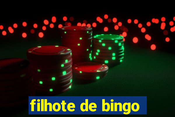 filhote de bingo