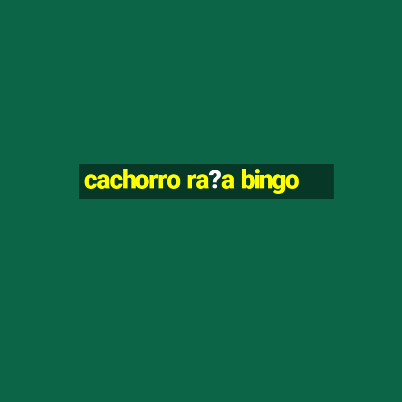 cachorro ra?a bingo