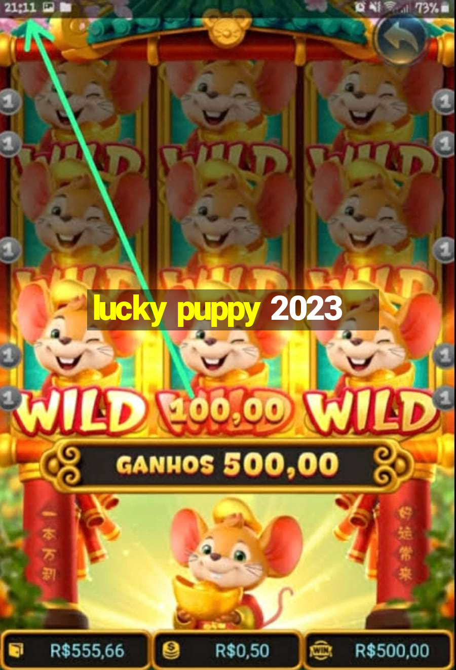 lucky puppy 2023