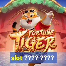 slot ???? ????