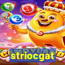 striocgat