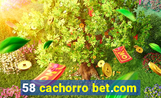 58 cachorro bet.com