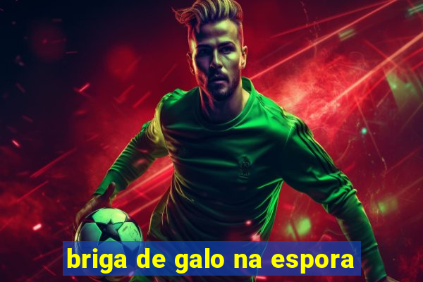 briga de galo na espora