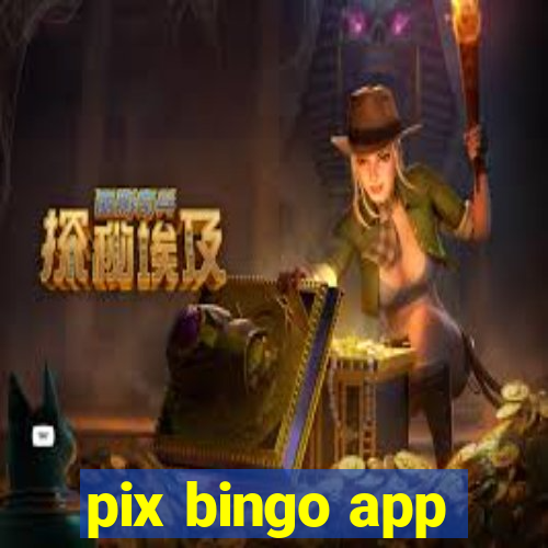 pix bingo app