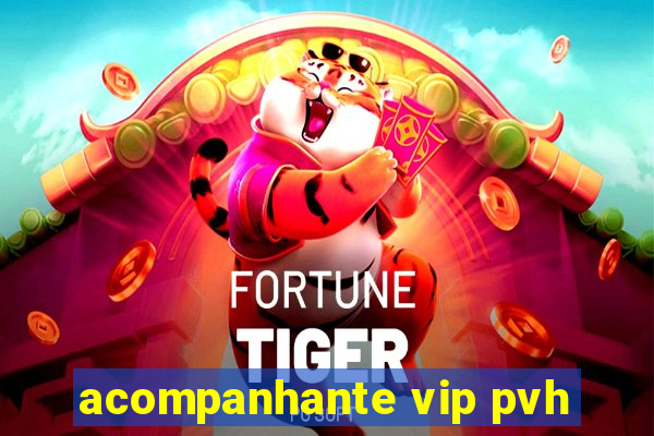 acompanhante vip pvh