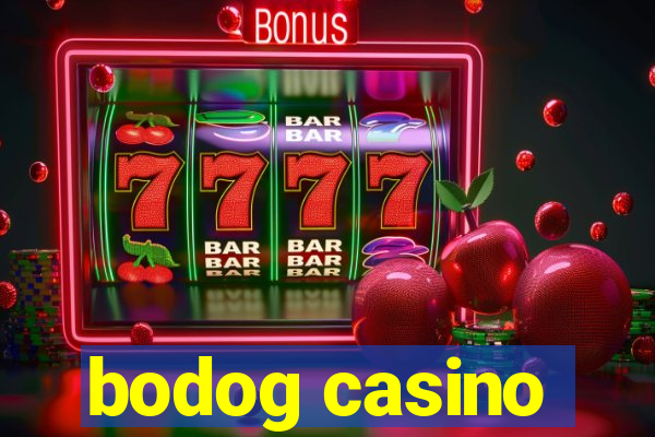 bodog casino