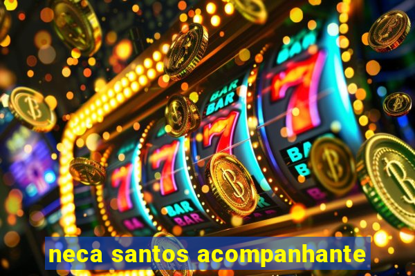 neca santos acompanhante