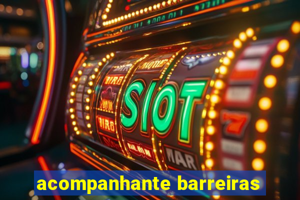 acompanhante barreiras