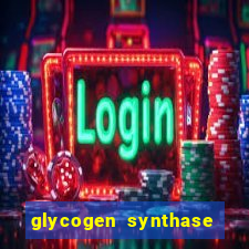 glycogen synthase kinase 3 beta