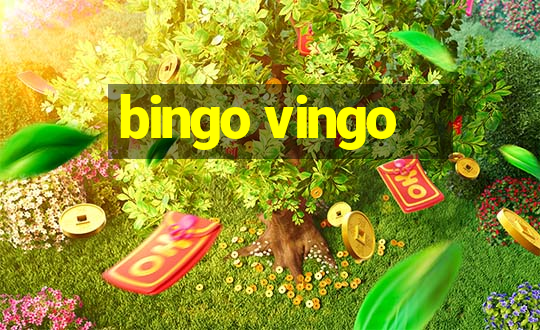 bingo vingo