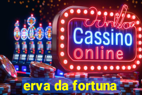 erva da fortuna