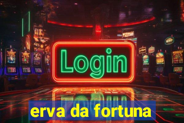 erva da fortuna