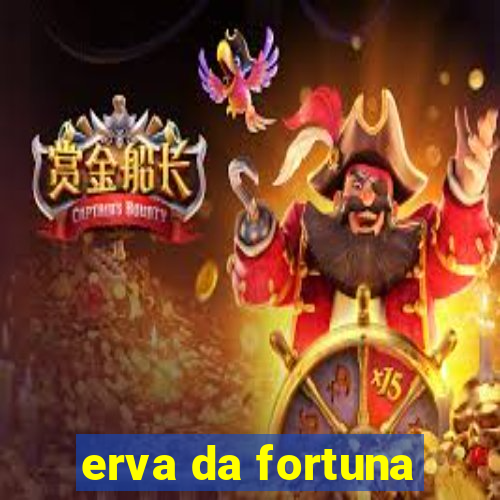 erva da fortuna