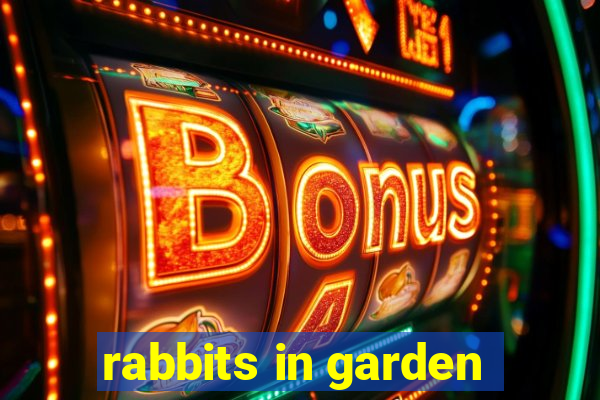 rabbits in garden