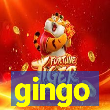 gingo