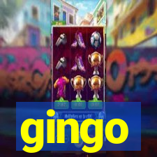 gingo