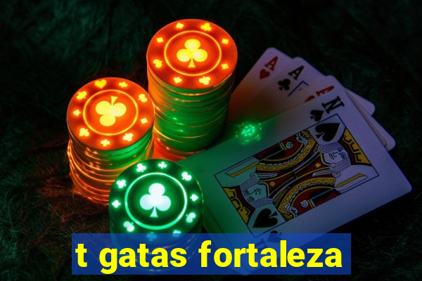 t gatas fortaleza