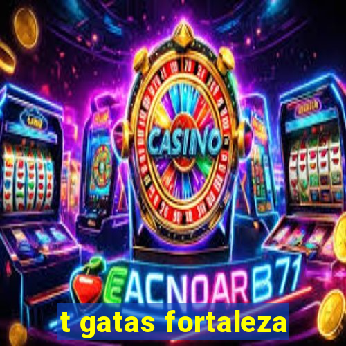 t gatas fortaleza