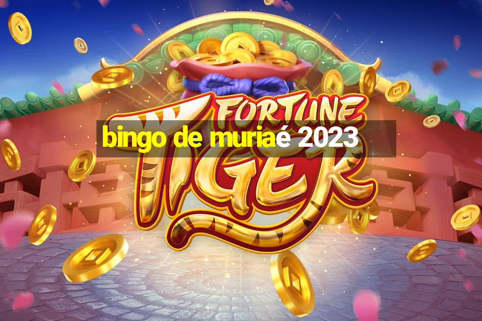 bingo de muriaé 2023