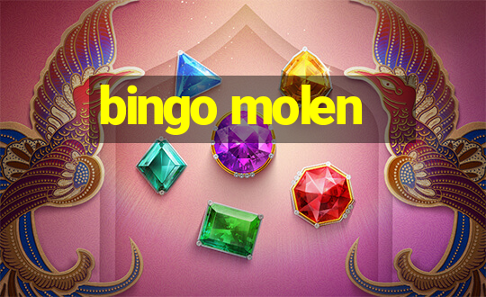 bingo molen