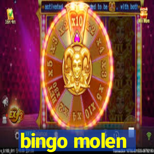 bingo molen