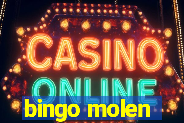 bingo molen