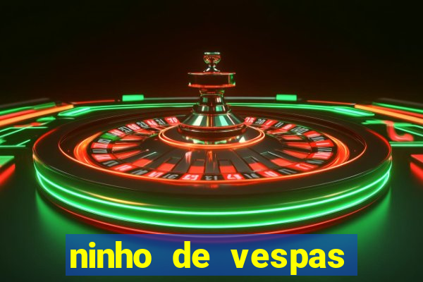 ninho de vespas significado espiritual