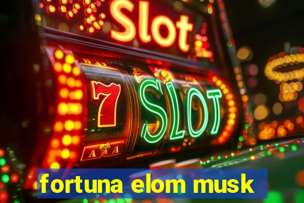 fortuna elom musk