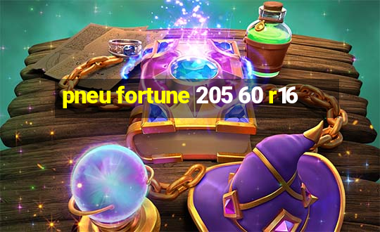 pneu fortune 205 60 r16