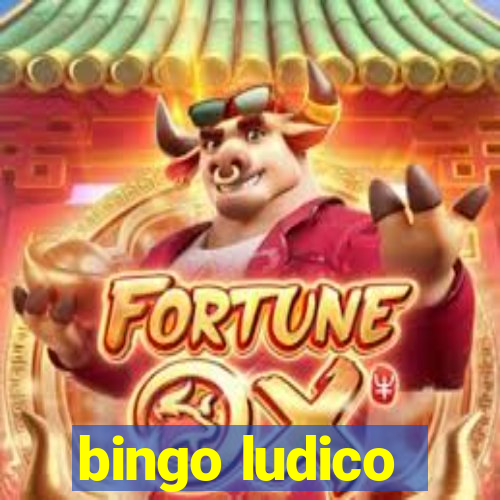 bingo ludico